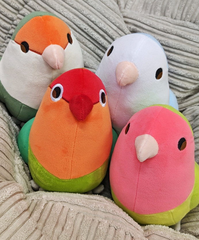 Conure plush clearance