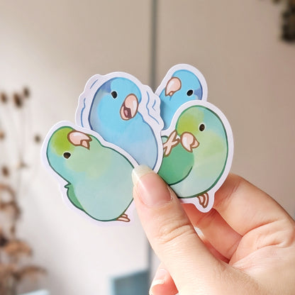 Parrotlet Vinyl Stickers