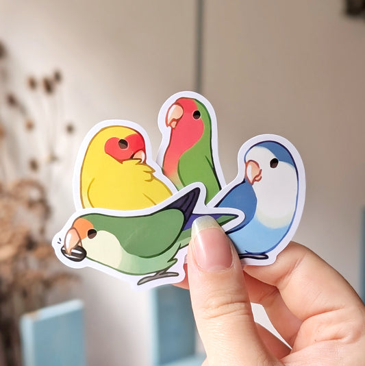 Peach-Faced Lovebird Vinyl Stickers