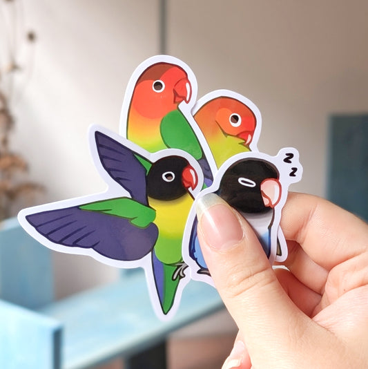 Fischer's and Masked Lovebird Vinyl Stickers