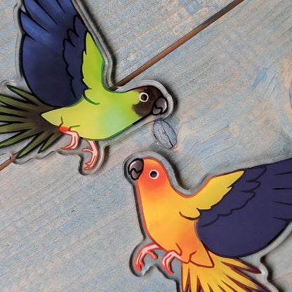 Large Conure Acrylic Keychain