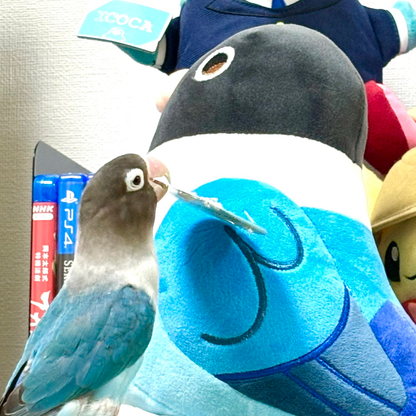 Blue the Blue Masked Lovebird Plushie