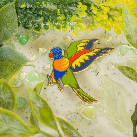 Lorikeet Pin