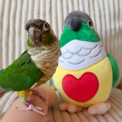 [pre-order] Conure Plushie