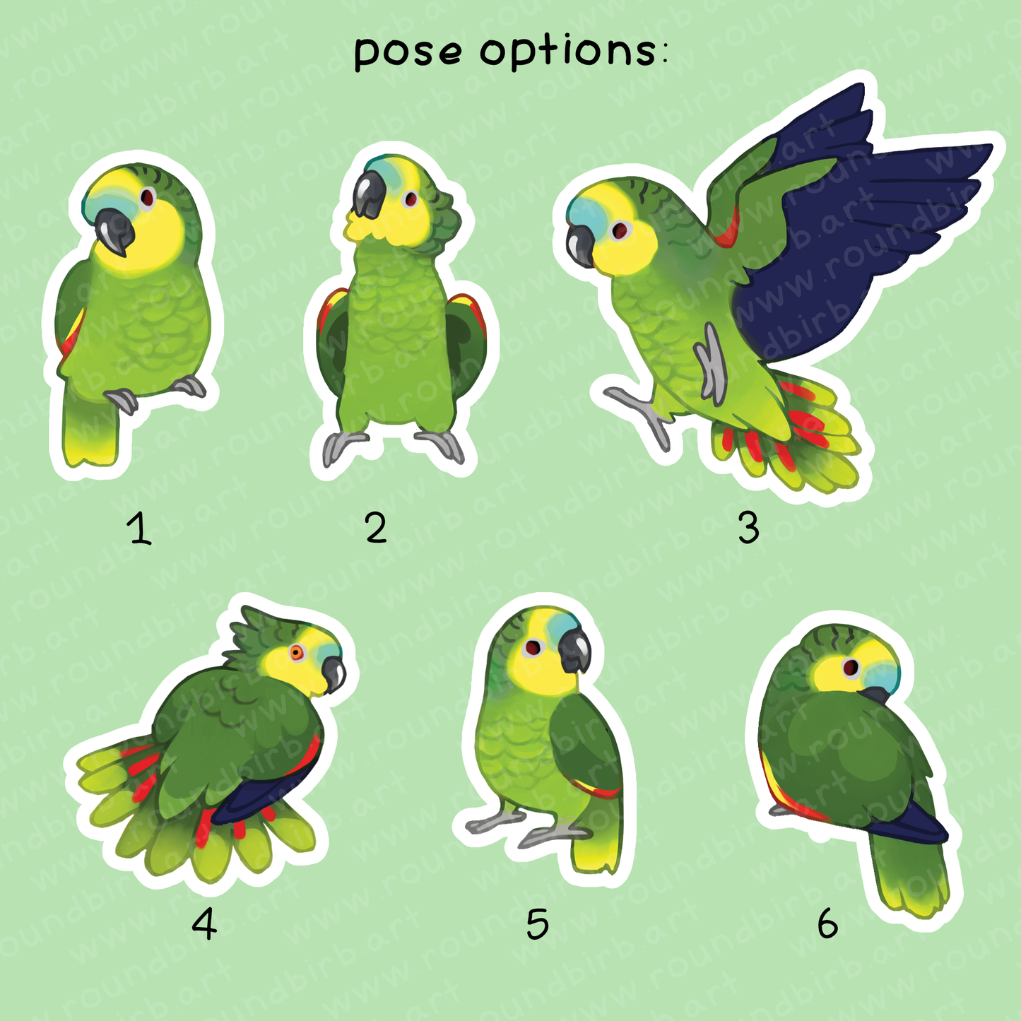 Amazon Parrot Vinyl Stickers