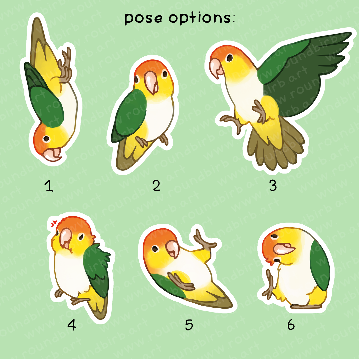 Caique Vinyl Stickers