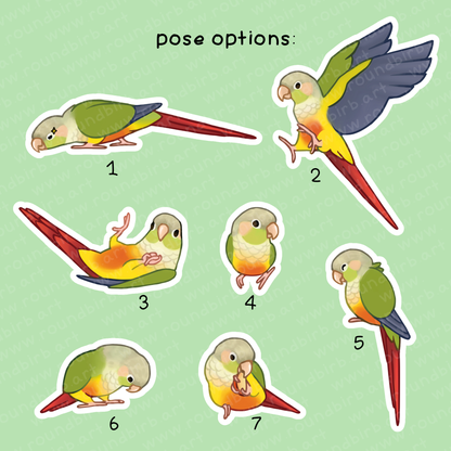 Small Conure Vinyl Stickers