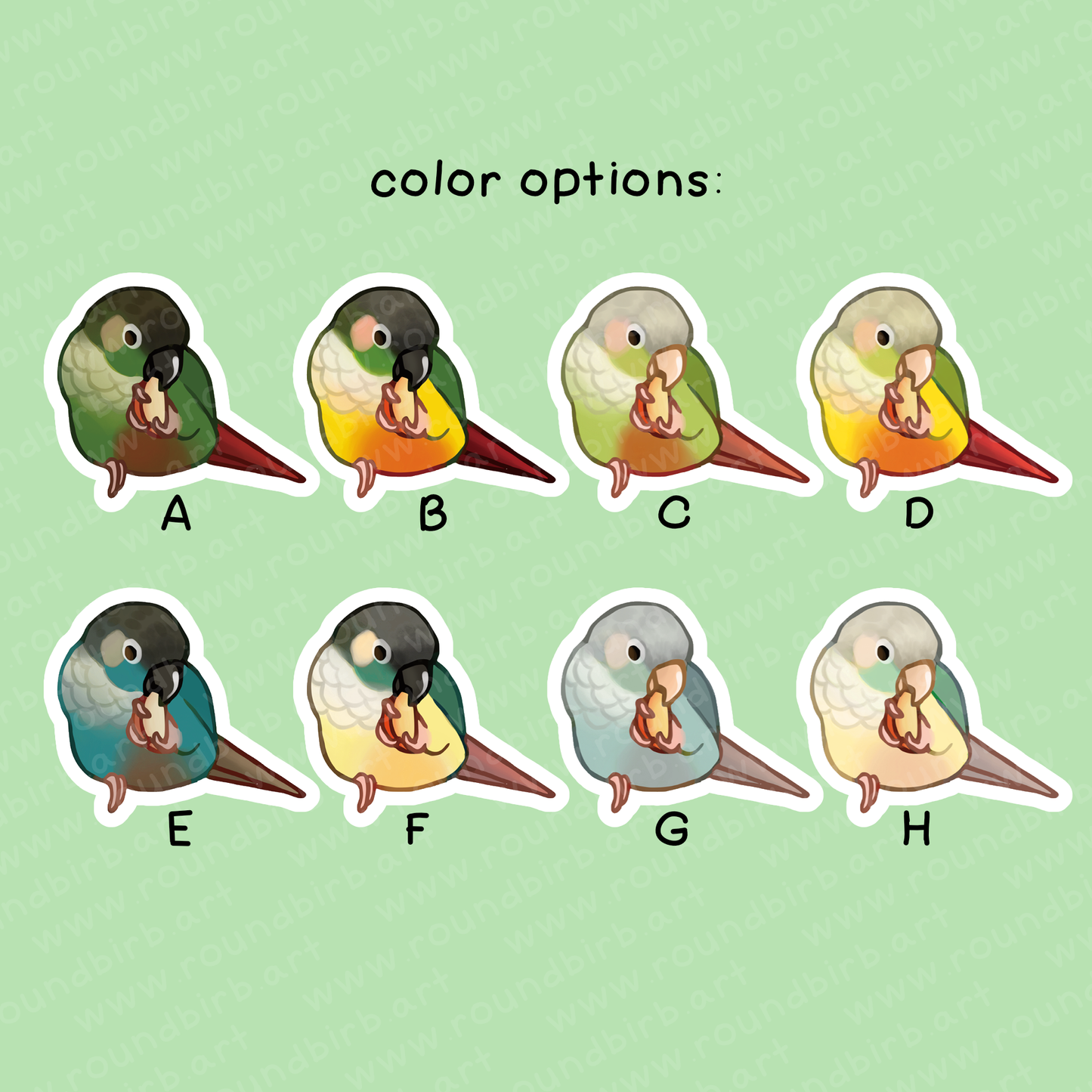 Small Conure Vinyl Stickers