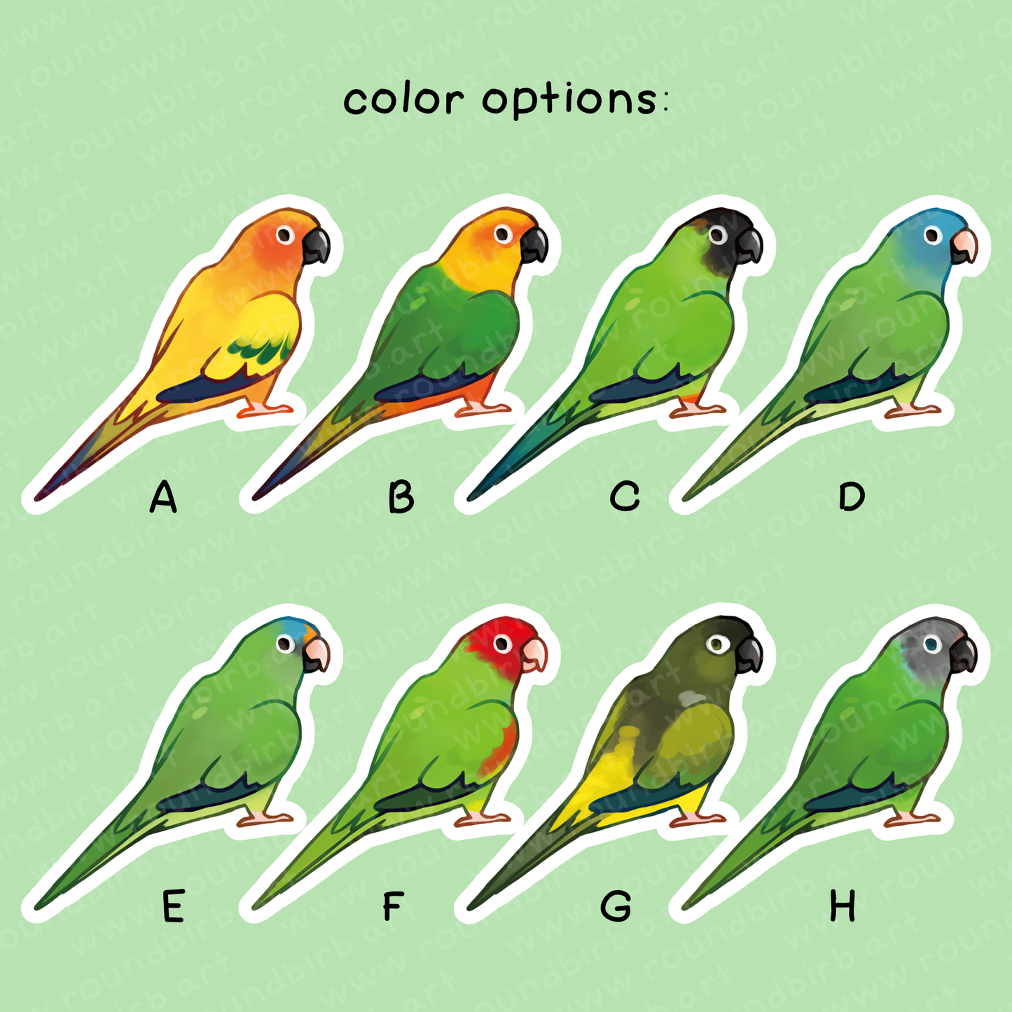 Large Conure Vinyl Stickers