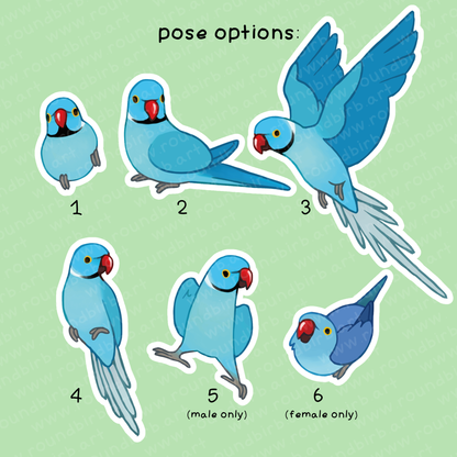 Ringneck Parrot Vinyl Stickers