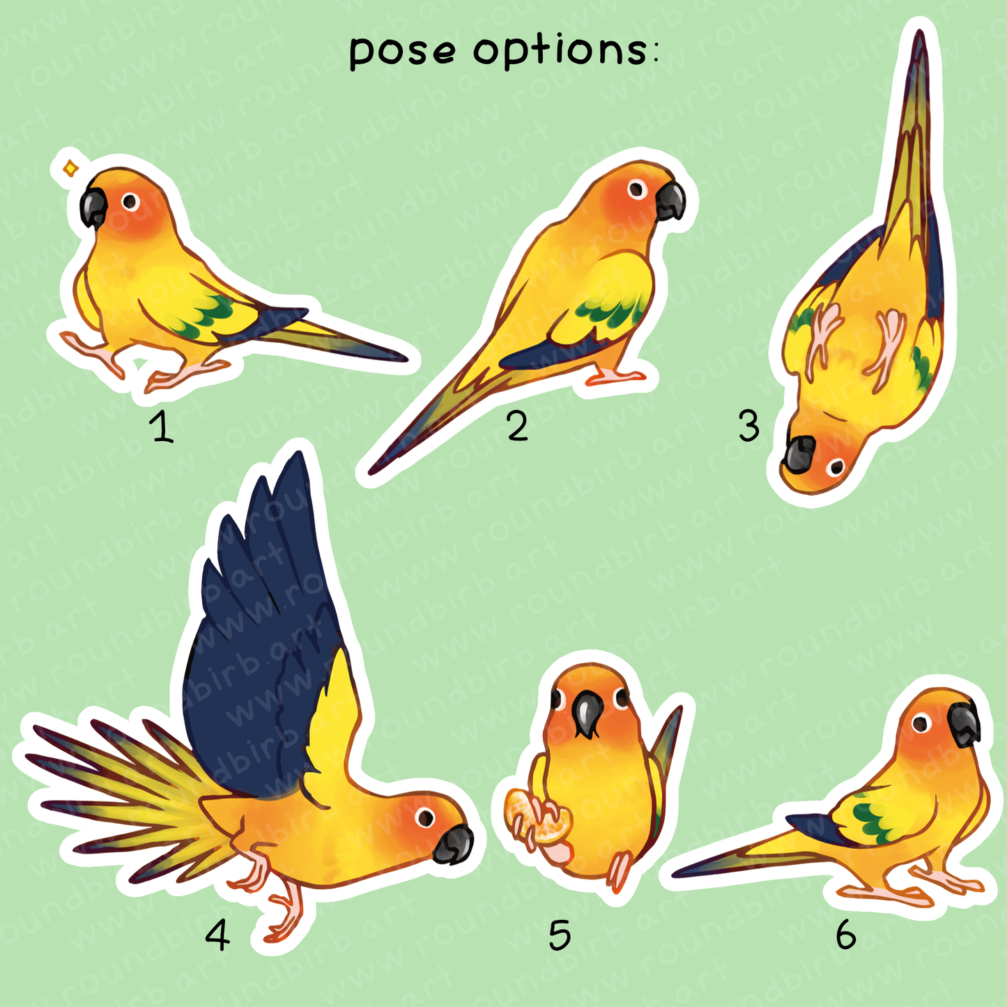 Large Conure Vinyl Stickers